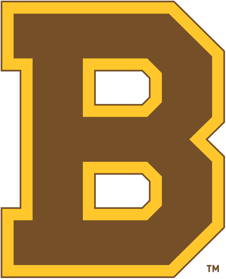 Boston Bruins 1932-1934 Primary Logo t shirts DIY iron ons
